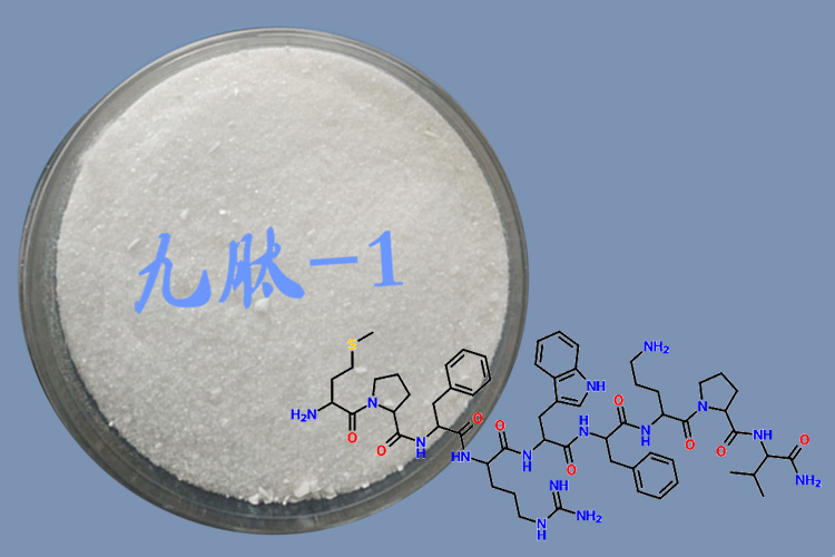 九肽-1